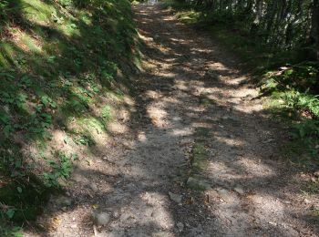 Trail On foot Vaugneray - Circuit de l'aqueduc - Photo