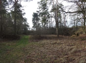 Tour Zu Fuß Wiesenburg/Mark - Naturparkrundwanderweg 30 - Photo