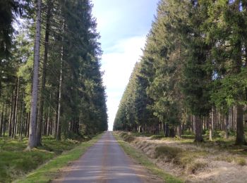 Tocht Fiets Eupen - Ovelo - The High Fens in the eastern part of the Hertogenwald - Photo