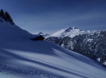 Trail Touring skiing Beaufort - roche parstire - Photo