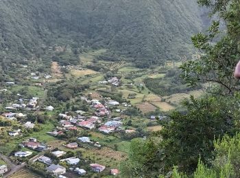 Randonnée Marche Saint-Joseph - L'aire du Rond à la Plaine des Grègues et le sentier de Curcuma - Photo