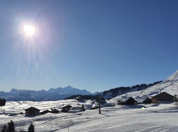 Tour Schneeschuhwandern Taninges - Praz de Lys - Photo