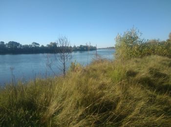 Tour Wandern Cour-sur-Loire - reconnaissance marche de printemps 20 25 28 - Photo