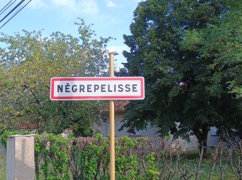 Tocht Stappen Nègrepelisse - Parcours des 7 ponts  - Photo