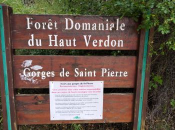 Tocht Stappen Beauvezer - Gorges St Pierre  - Photo