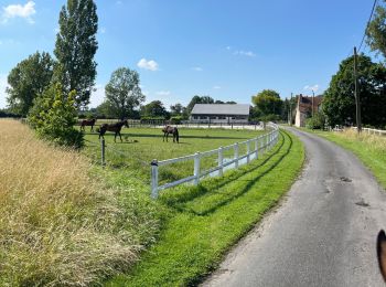 Tour sport Luynes - Rando 2 - Photo