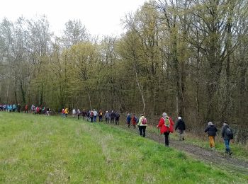 Trail Walking Nogent-l'Artaud - Nogent l'Artaud du 27-03-2023 - Photo