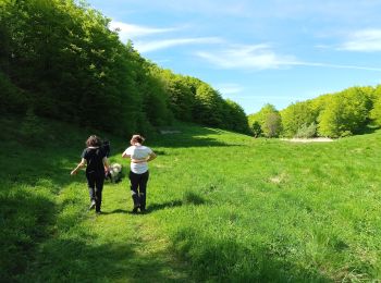 Trail Walking Omblèze - Le saut de la Truite - Photo