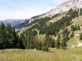 Randonnée Marche Glières-Val-de-Borne - GLIERES: TOUR DE LA MONTAGNE DES FRETES - Photo