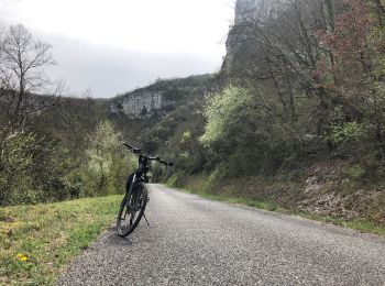 Randonnée Vélo électrique Montricoux - Gorges de l'Aveyron 1 - Photo