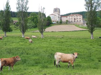 Tocht Stappen Boisset-Saint-Priest - 5 tournon lalizolle - Photo