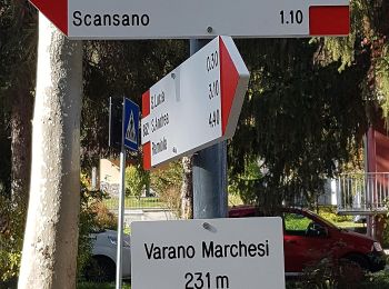 Tocht Te voet Medesano - Varano Marchesi - Monte San Biagio - Faieto - Case Buca Violi - Varano Marchesi - Photo
