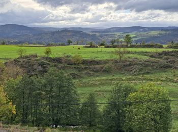 Trail Walking Saint-Haon - le nouveau Monde - Photo