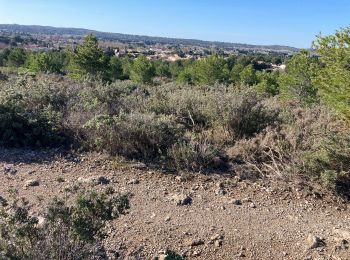 Tocht Stappen Mouriès - Les Caisses de Jeanjean et Servannes(12K 220D+) - Photo