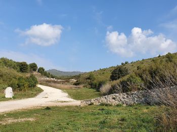 Trail Walking Marseille - Les grottes Loubieres Chateau Gombert - Photo