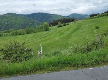 Randonnée Marche Alleyras - vers Montrisol d'Allier - Photo