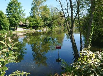 Tocht Stappen Incheville - incheville 20190513 les étangs  - Photo