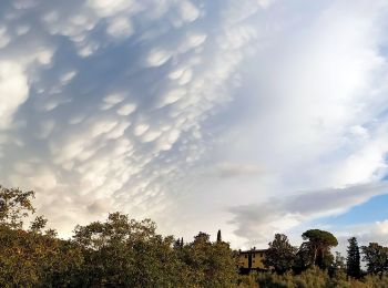 Tocht Te voet Greve in Chianti - IT-26 - Photo