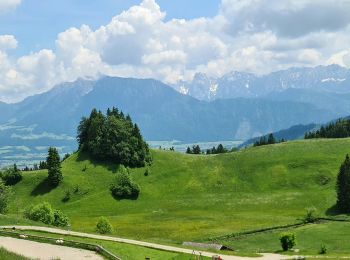 Randonnée A pied Oberaudorf - Wanderweg 5b - Oberaudorf - Photo