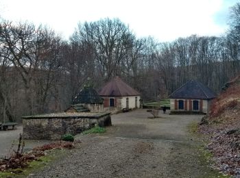 Trail Walking Fougerolles-Saint-Valbert - 10-01-20 parc animalier + parcours santé - Photo