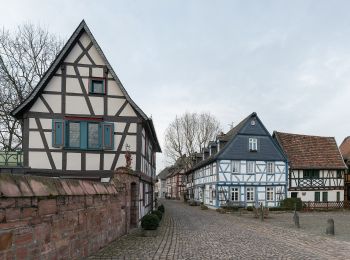 Randonnée A pied Eltville am Rhein - Gutenbergweg - Photo