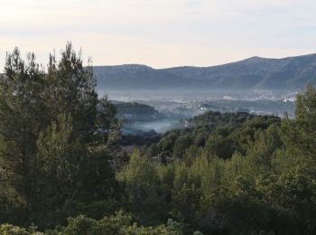 Trail Walking Marseille - Jean  - Photo