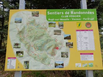 Trail Walking Ferdrupt - circuit col de la sûre chalet Châtelet  - Photo