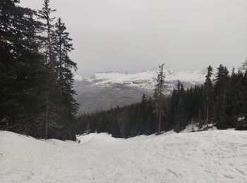 Tour Schneeschuhwandern Peisey-Nancroix - direction les arc 1800 raquette - Photo