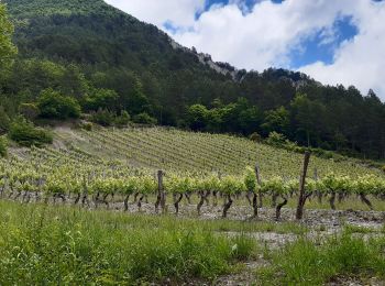 Tour Wandern Die - Col de Bergu  - Photo