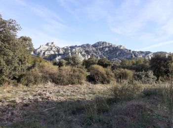 Excursión Senderismo Aureille - Aureille Pas de la Figuiere - Photo