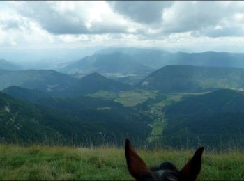 Trail Horseback riding Vassieux-en-Vercors - Boucle Vassieux - Col de Vassieux - Photo