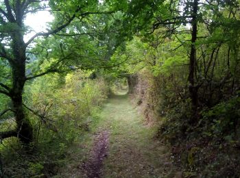 Randonnée Marche Urval - Urval 18 km - Photo