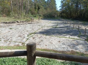 Tocht Stappen Hautecourt-Romanèche - romaneche - Photo