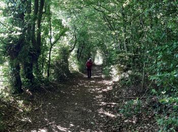 Trail Walking Ferrières-Saint-Hilaire - ferrière st hilaire - Photo