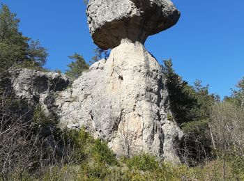 Randonnée Marche La Roque-Sainte-Marguerite - la roque Montpellier le vieux  la roque St m - Photo