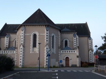 Tocht Stappen Ombrée-d'Anjou - bel air de combrée - Photo