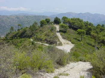 Randonnée A pied Vintimille - Sentiero Balcone Mediterraneo T1 - Photo