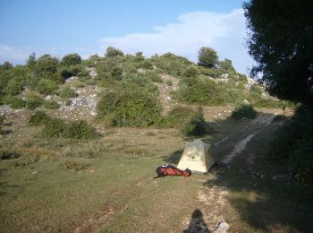 Trail On foot Otricoli - Poggio - Aravecchia - Intersezione 646 - Photo