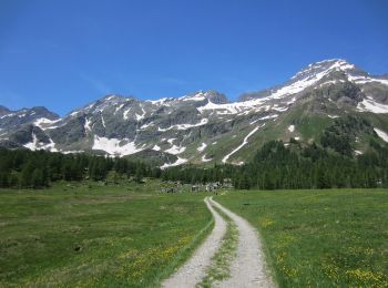 Tour Zu Fuß Varzo - (SI E60) Alpe Veglia (Cornu) - Alpe Devero - Photo