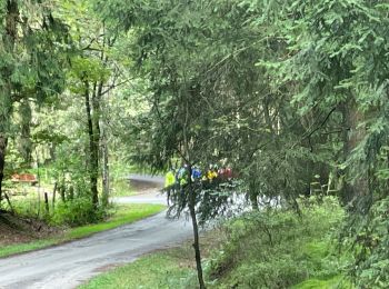 Percorso Mountainbike Sankt Vith - 20211009 Yeyette tour de forêt  - Photo