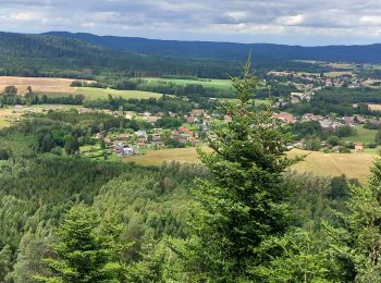 Tour Wandern La Bourgonce - la bourgonce  - Photo