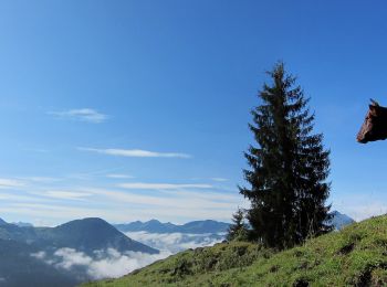 Trail On foot Gemeinde Kirchdorf in Tirol - koasa_trail-etappe_3 - Photo
