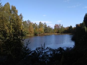 Tour Wandern Beulotte-Saint-Laurent - 13-10-19 : 1000 étangs entre Corravillers et Beulotte - Photo