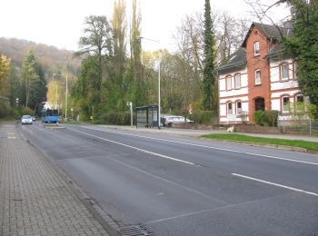 Trail On foot Unknown - Kassel, M - Photo