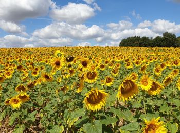 Tour Wandern Chauvigny - chauvigny  - Photo