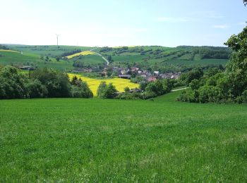 Tocht Te voet Bad Mergentheim - Sailbergweg - Photo