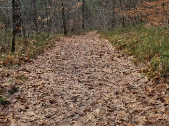 Tocht Stappen Attert - tontelange - Photo