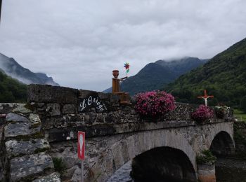 Tour Wandern Orgeix - col de l'Osque 2021 - Photo