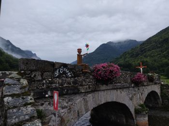 Trail Walking Orgeix - col de l'Osque 2021 - Photo