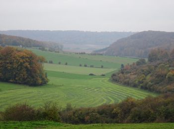 Excursión A pie Les Grandes-Ventes - LEQ GRANDES VENTES Saved_2019-11-11-09-19 - Photo